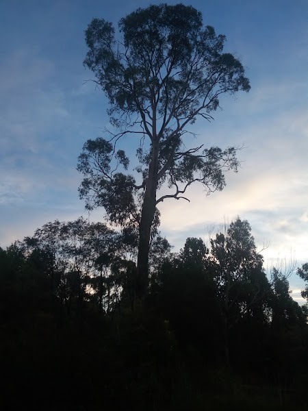 Yackandandah