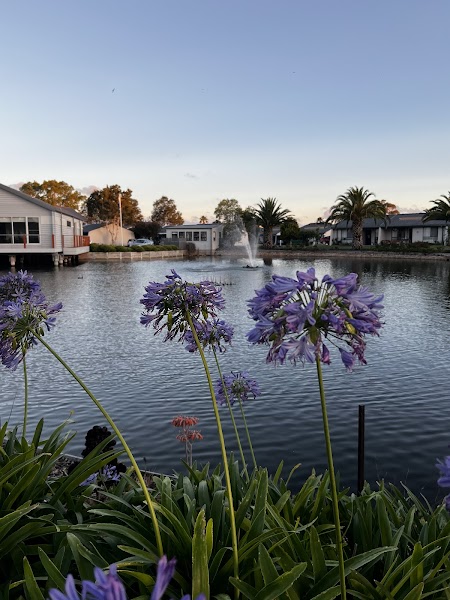 Patterson Lakes