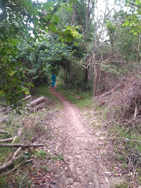 Burrawong Park