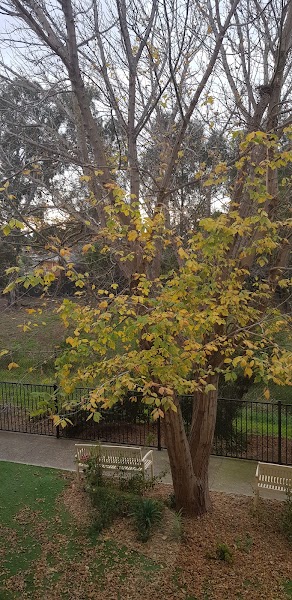 Keilor Downs