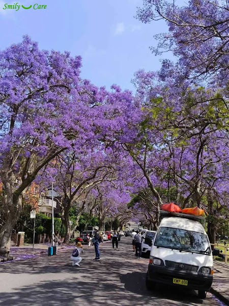 Rydalmere