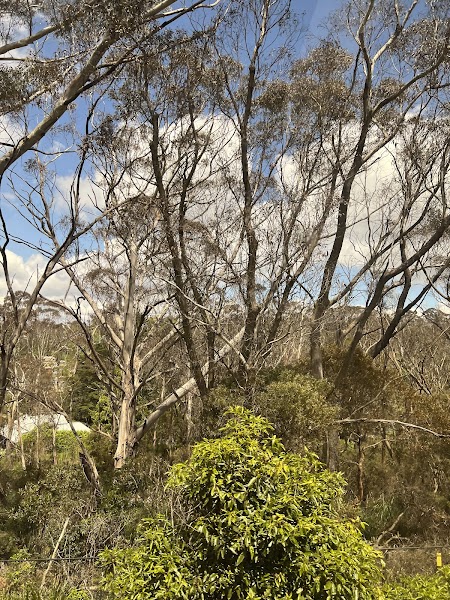 Blue Mountains Retirement Village
