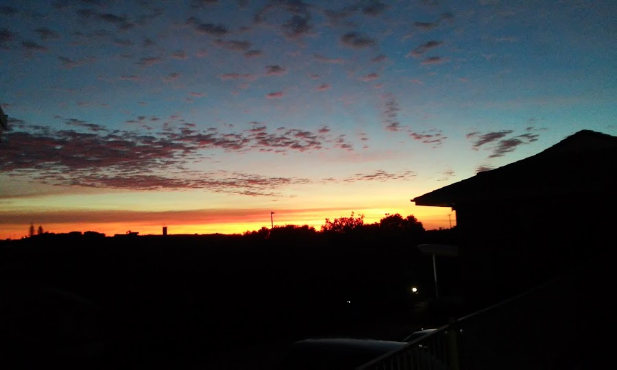 Woolgoolga