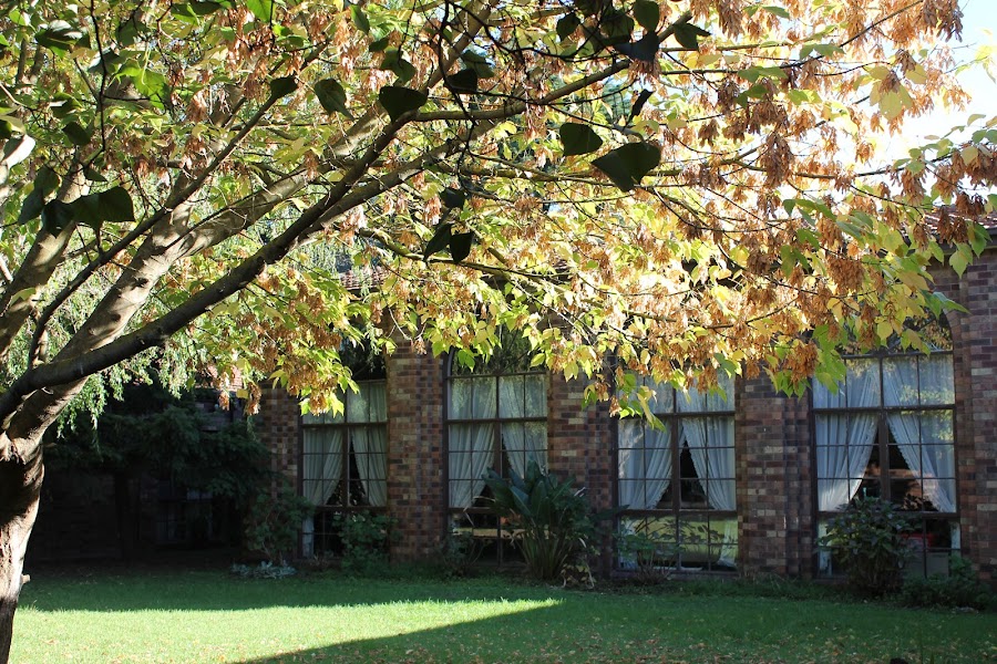 Jasmine Lodge