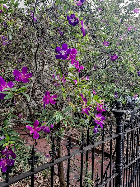 Petersham