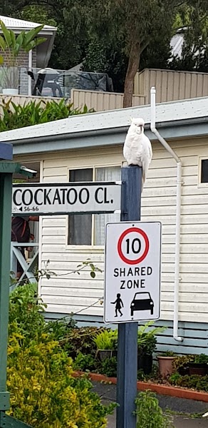 Terrigal Waters Village