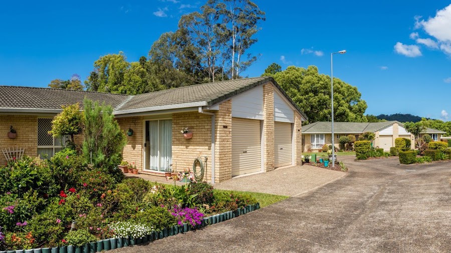Hibiscus Nambour