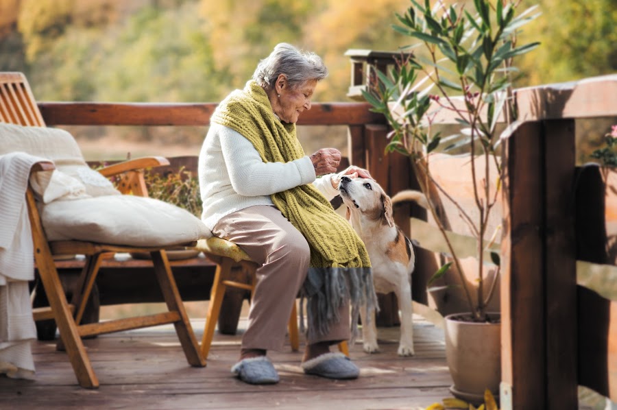 Care Connect