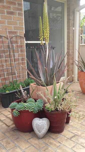 Merimbula
